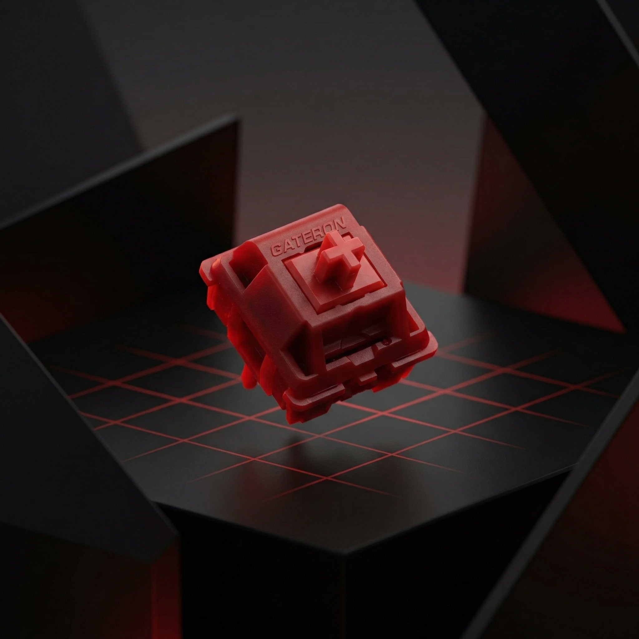 Gateron X Sillyworks Type R Switches