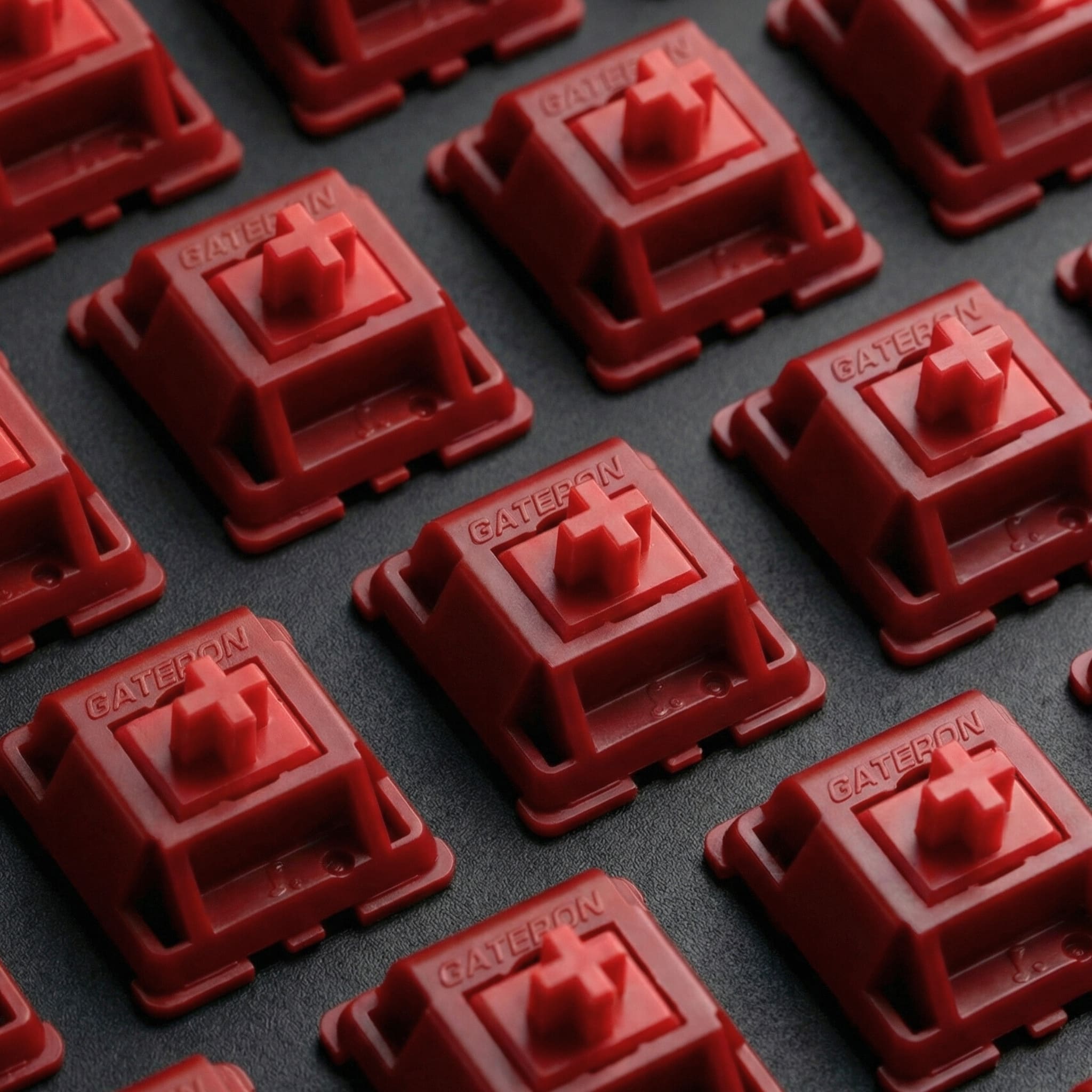 Gateron X Sillyworks Type R Switches