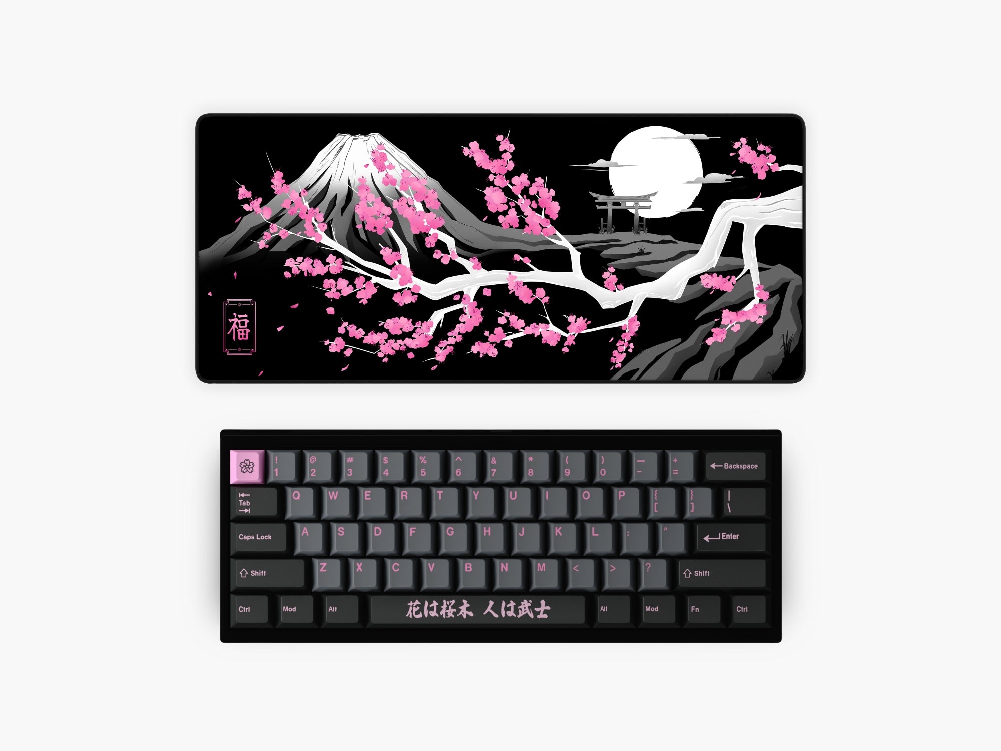 SAKURA