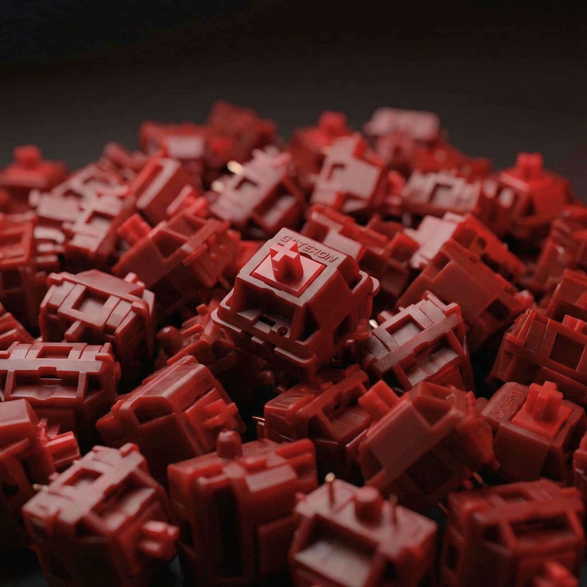 Gateron X Sillyworks Type R Switches